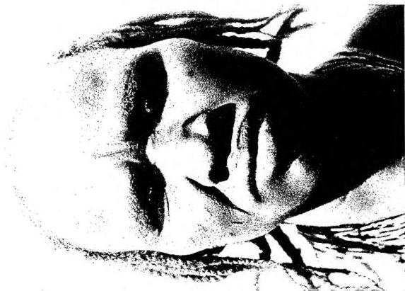 TYPE OF BUSHMAN EUNDE (Southern Africa).