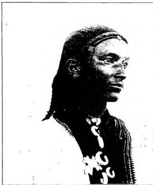 Article illustration