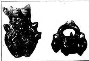 Article illustration