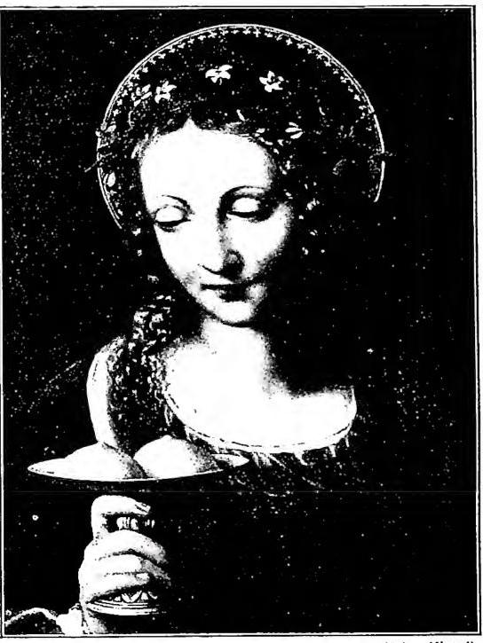 Article illustration