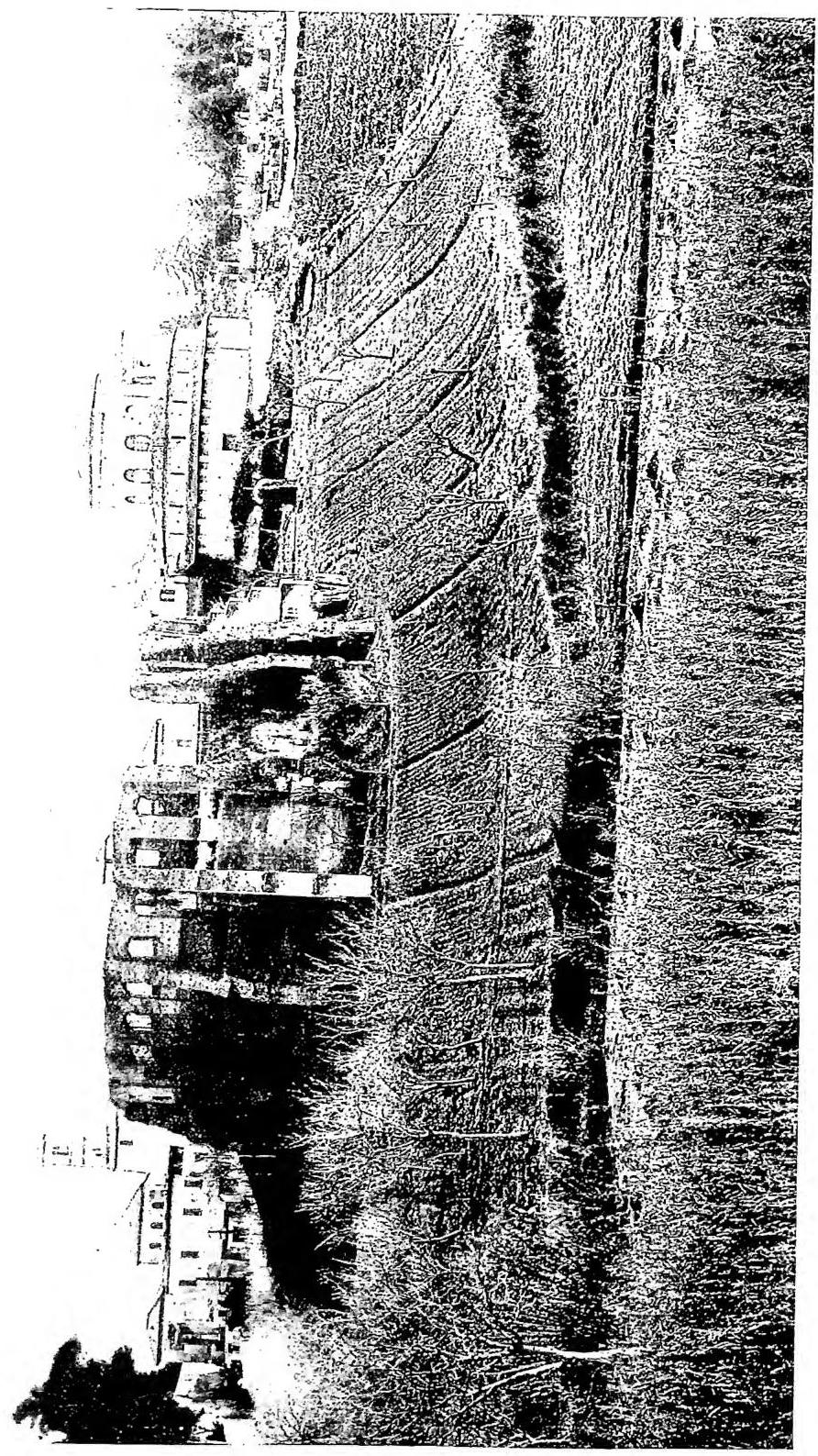 Tavola XXXIV