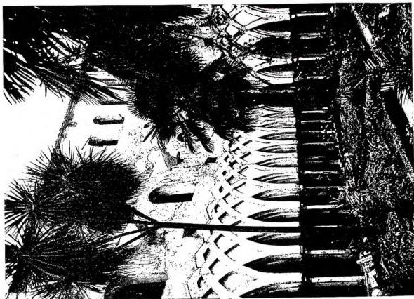 (progr. P. Pieri)
