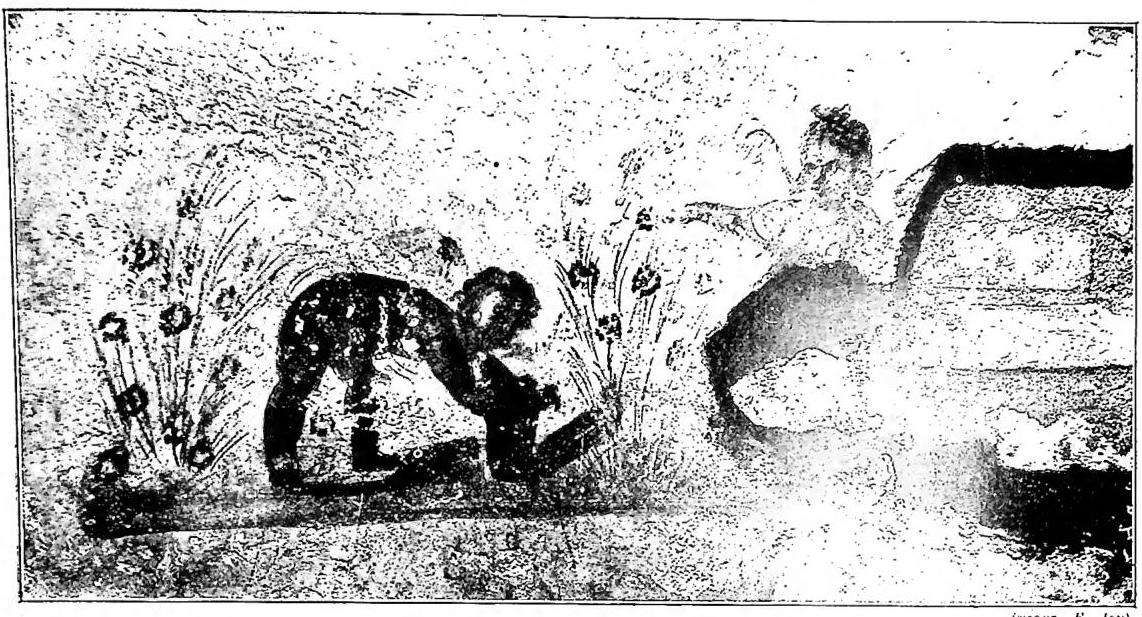Article illustration