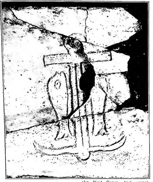 Article illustration