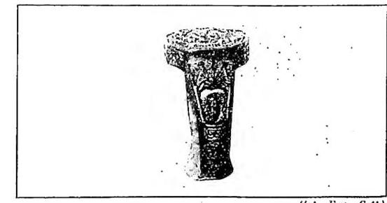 Article illustration