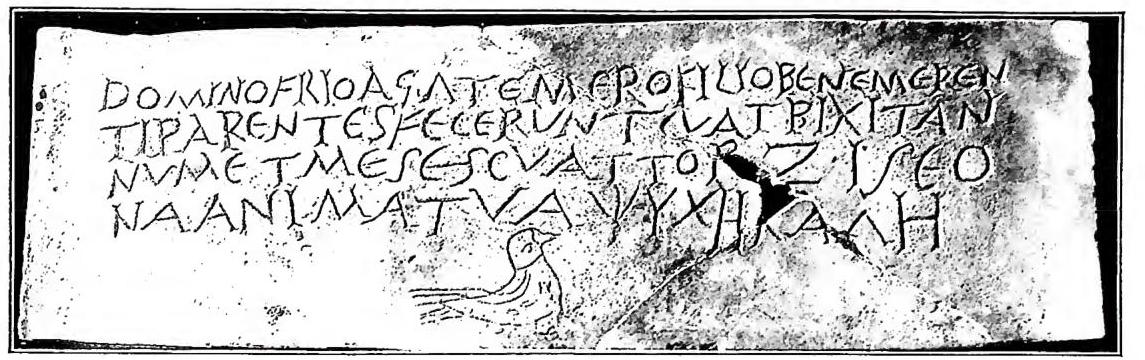 Article illustration