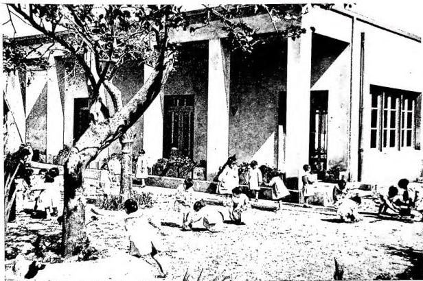 Above: ALFRIDA AJESSA NURSERY. Ganzirri (Messina). Below: FLORENCE NURSERY. Melicucch.