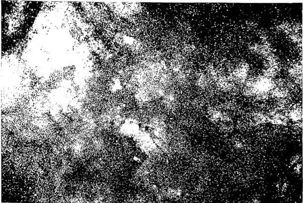 Above: STELLAR CLOUD IN SAGITTARIUS. Below: NEBULA IN SAGITTARIUS MESSIER 8.