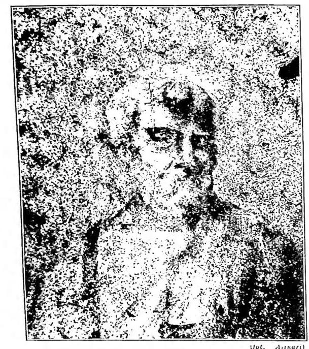 Article illustration