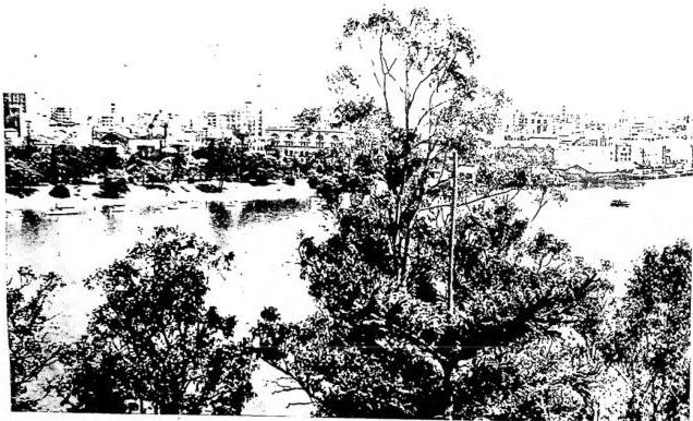 Above: VIEW OF THE CITY OF BRISBANE. Queensland.