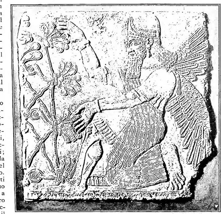 Article illustration
