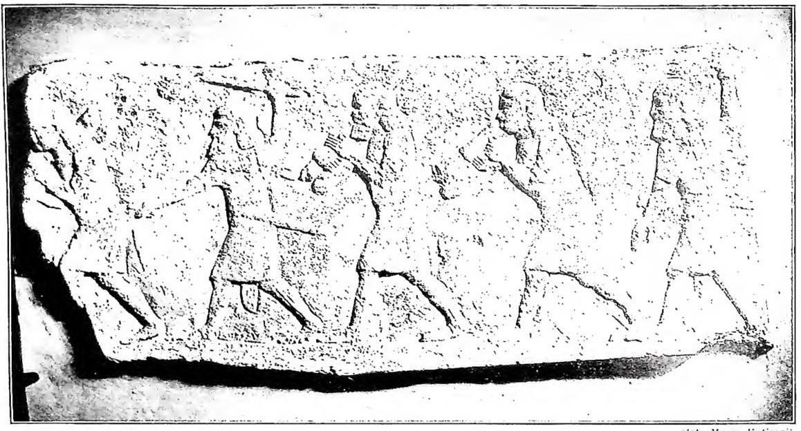 Article illustration