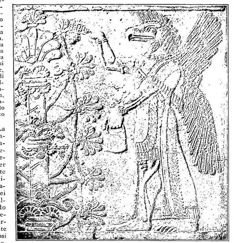 Article illustration