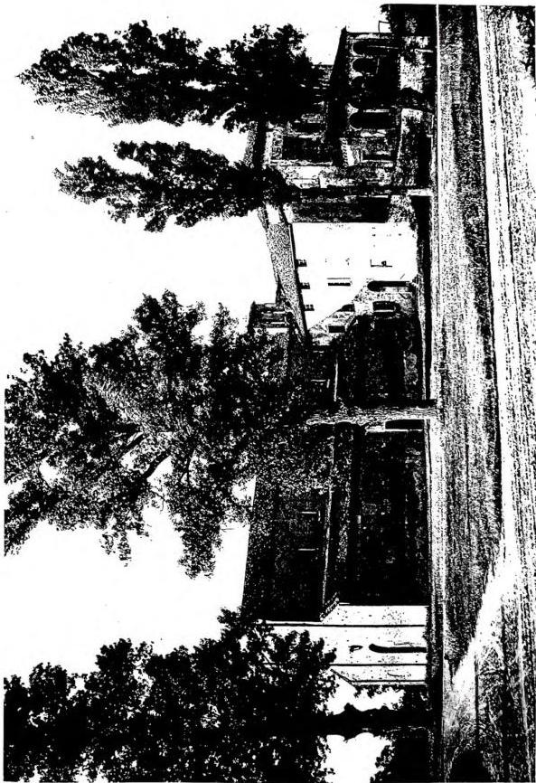 (Del. Alinari)
