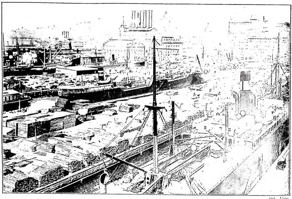Article illustration