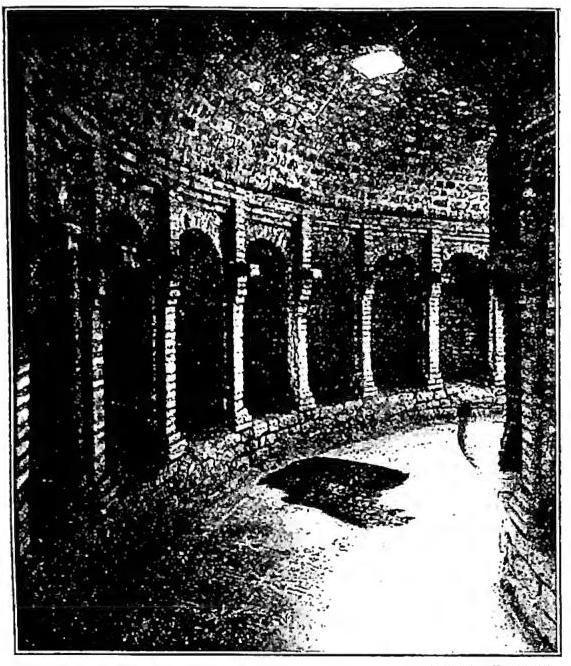 Article illustration