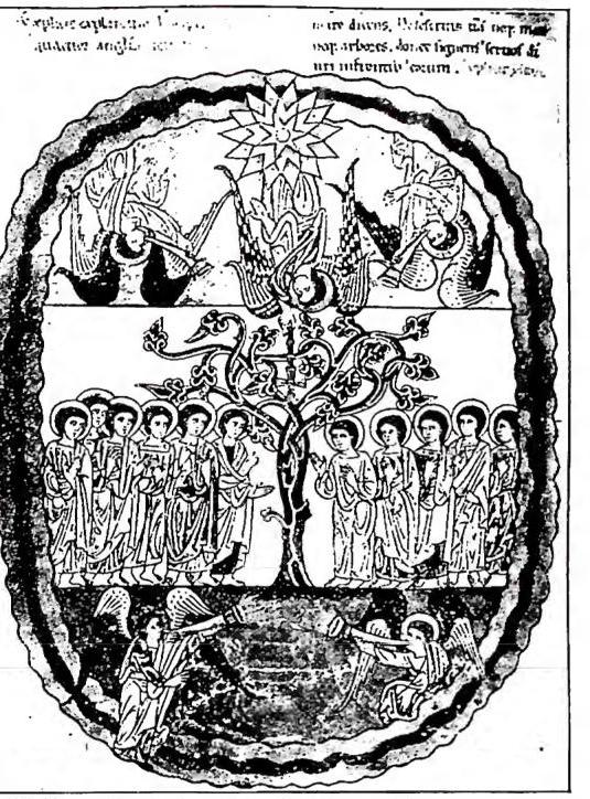 Article illustration
