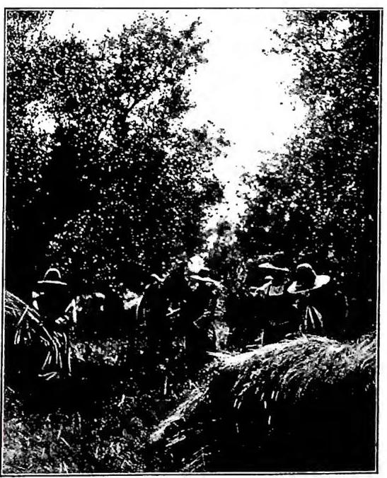 Article illustration