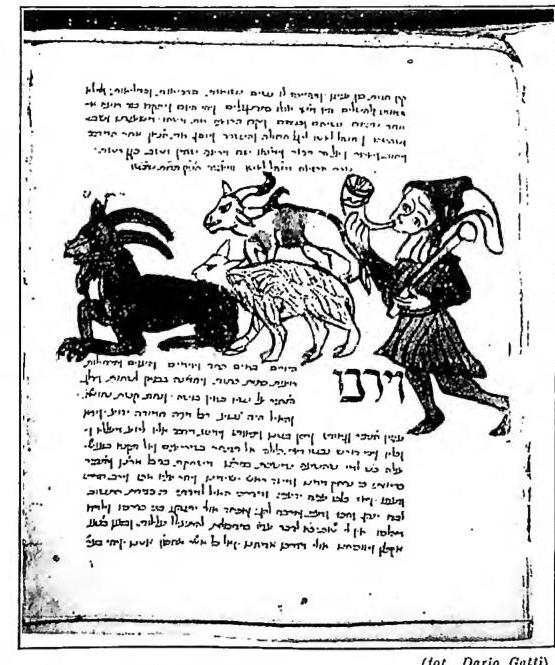 Article illustration