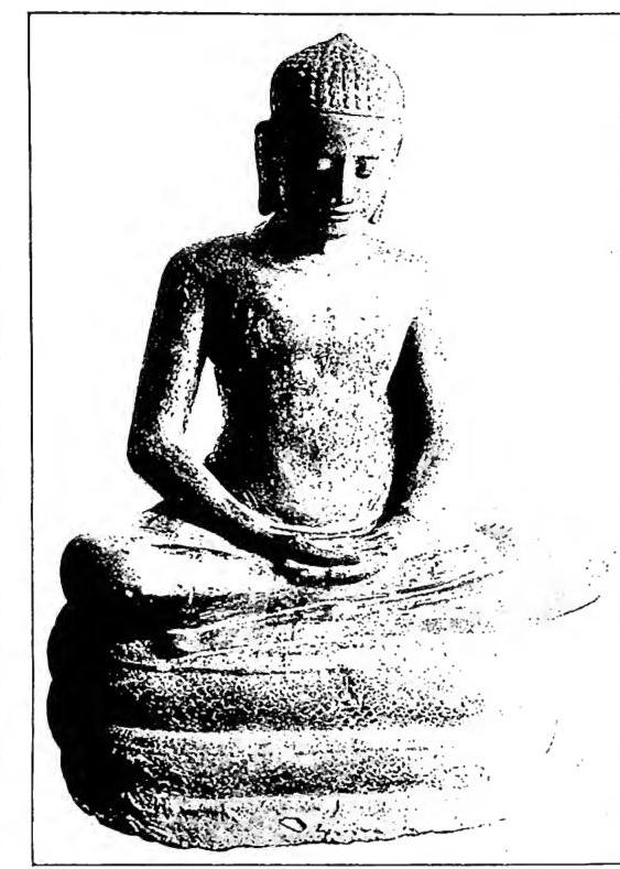 Article illustration