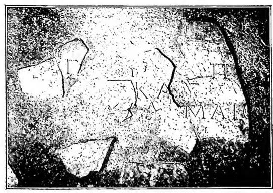 Article illustration