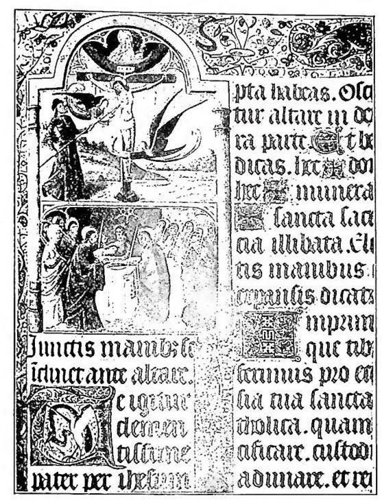 Article illustration