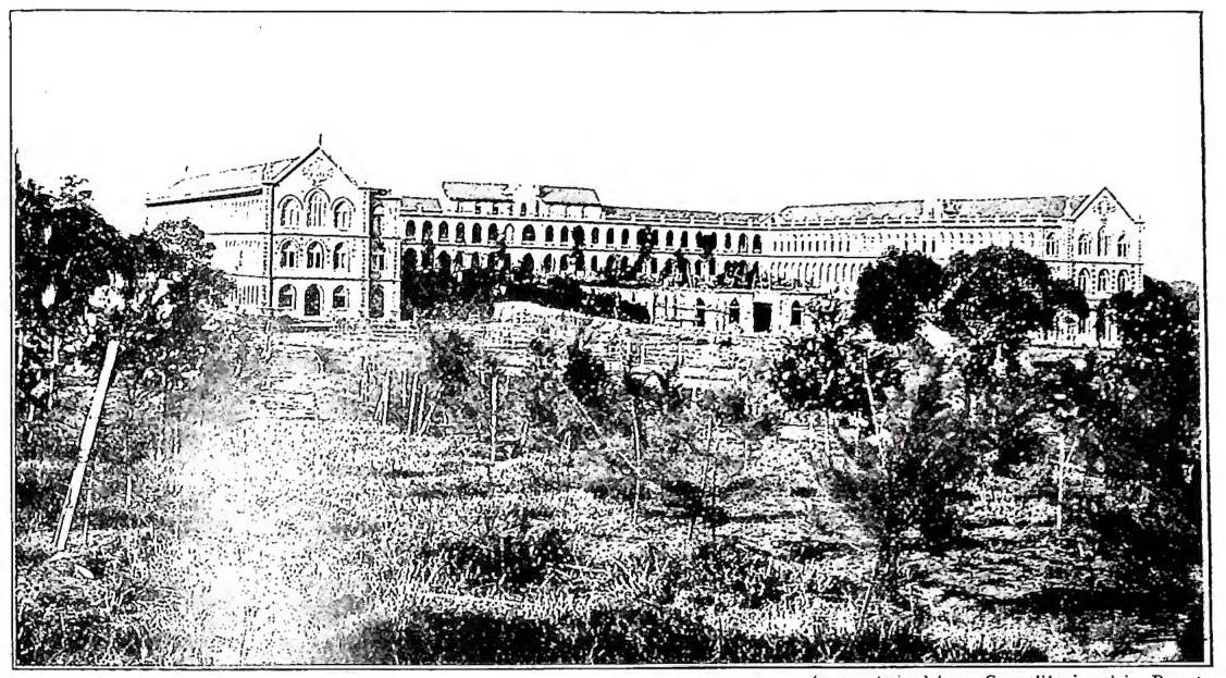 Article illustration