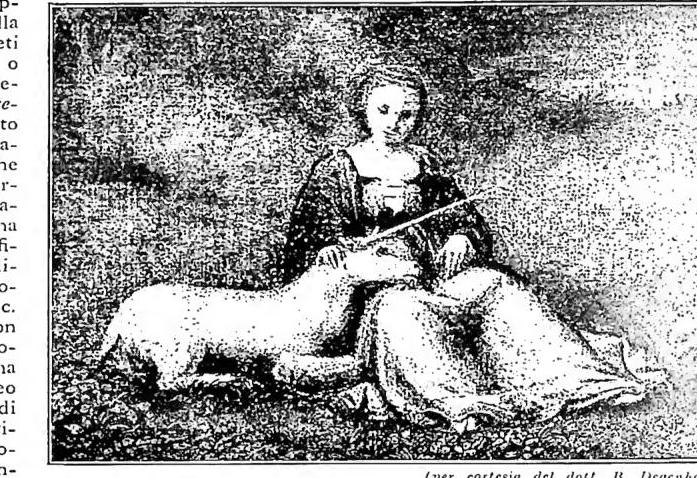 Article illustration