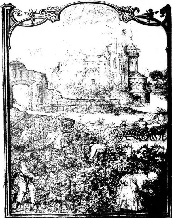 IL MESE DI SETTEMBRE. Miniatura del Breviario Grimani (fine sec. xv - principio sec. xvi) - Venezia, biblioteca Marciana.