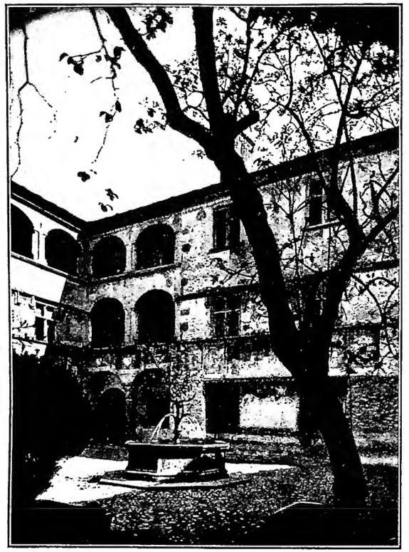 Article illustration