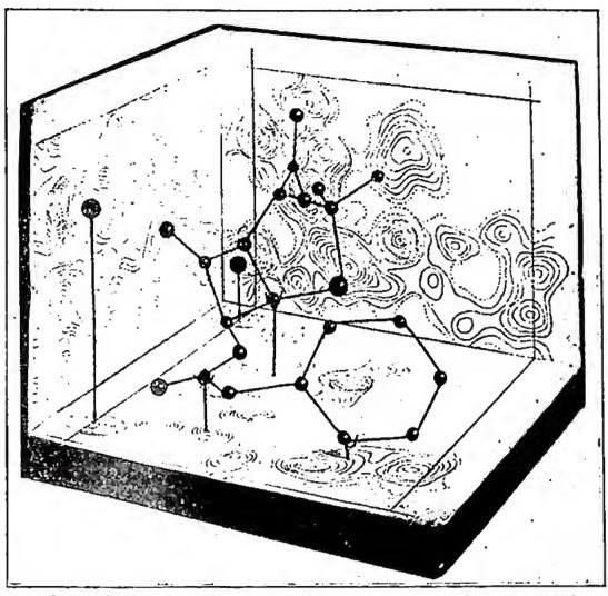 Article illustration