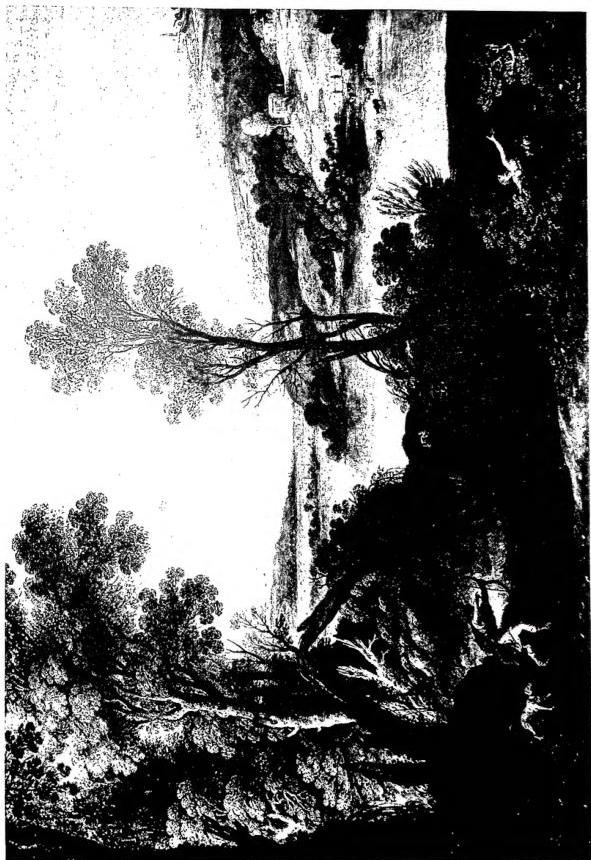 LANDSCAPE - Rome, Galleria Corsini.