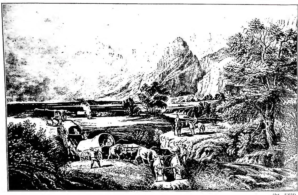 Article illustration