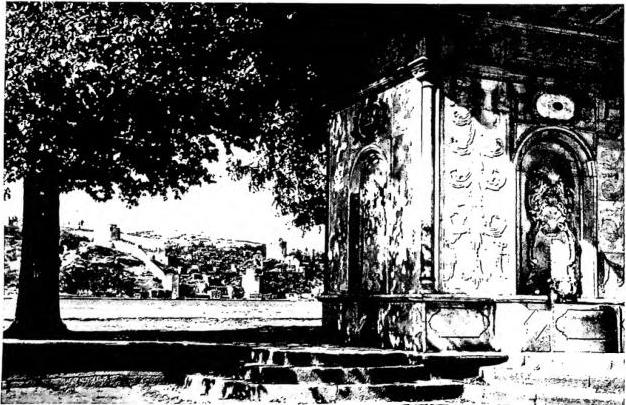 Plate XLIV