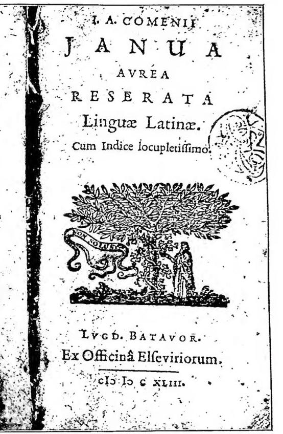 Article illustration