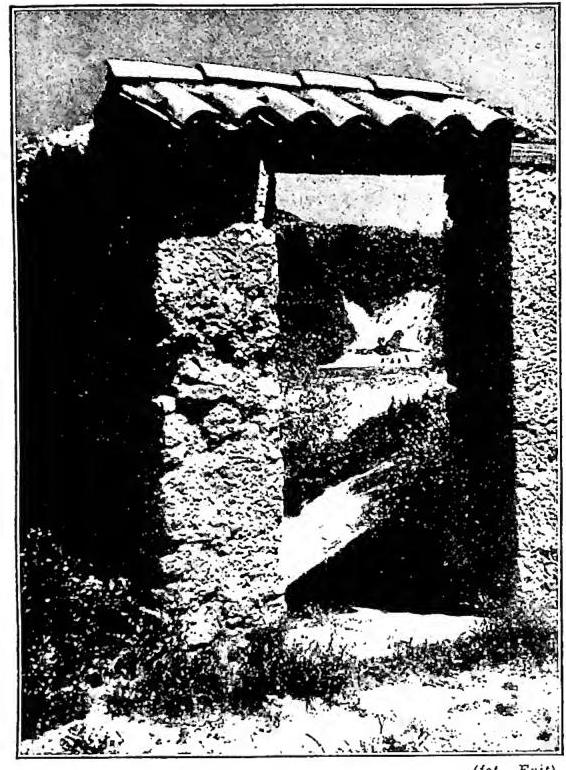 Article illustration