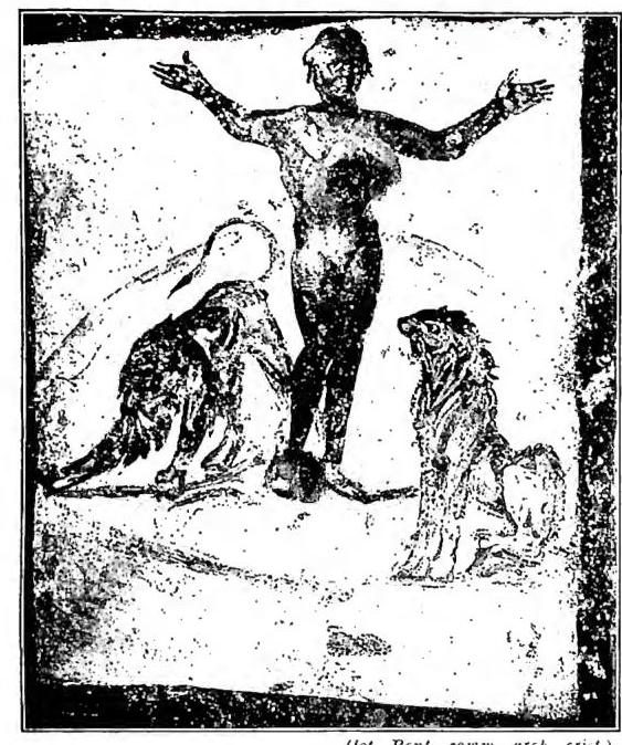 Article illustration