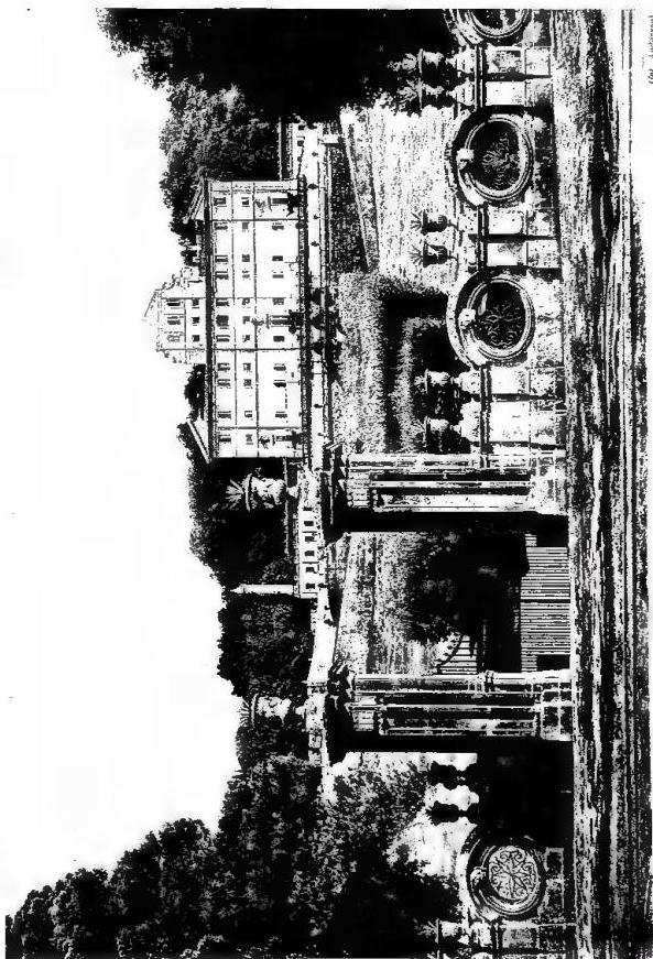 ENTRANCE OF VILLA ALDOBRANDINI (17th cent.).