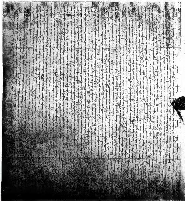 BULL WITH WHICH POPE HONORIUS III APPROVES THE RULE OF THE FRIARS MINOR (29 Nov. 1223) -