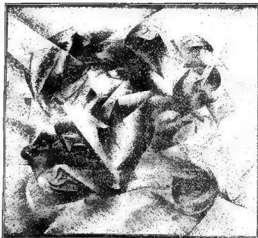 Article illustration