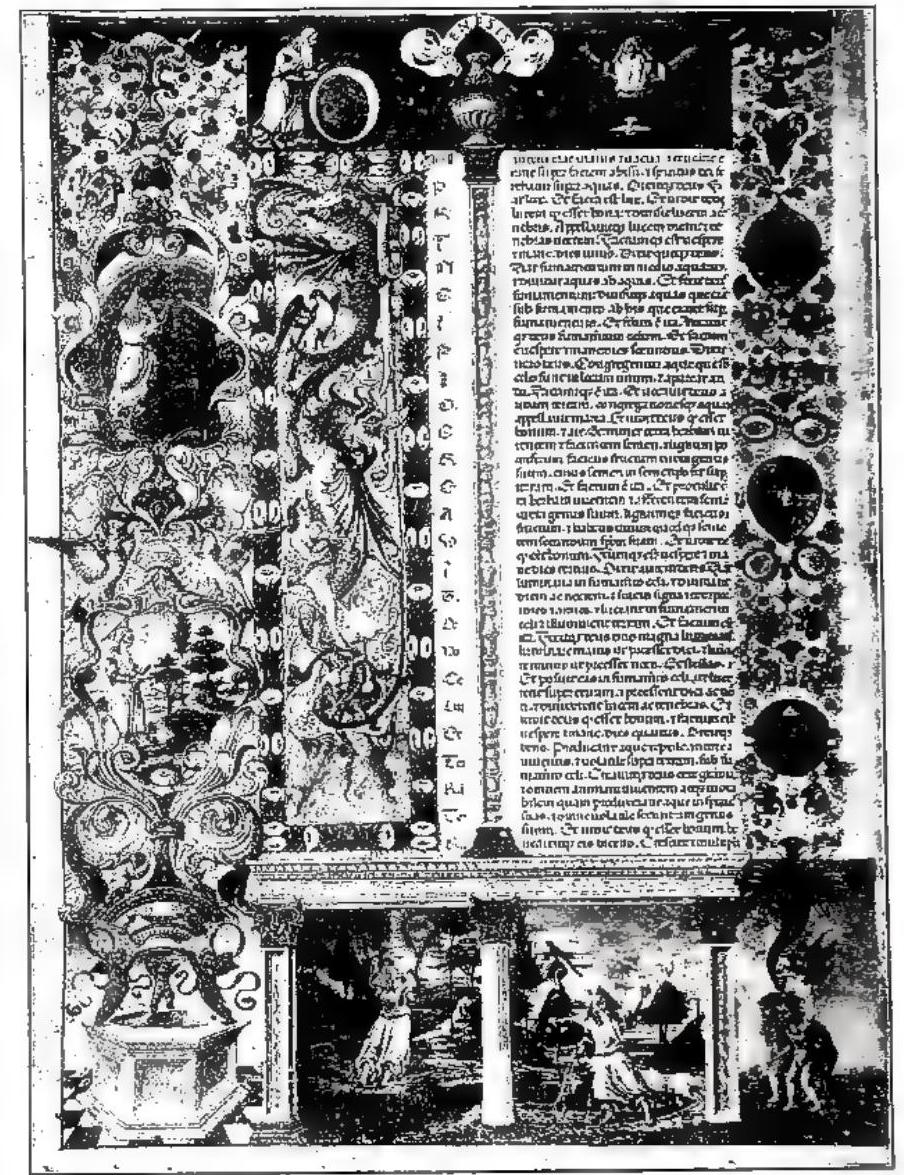 Article illustration