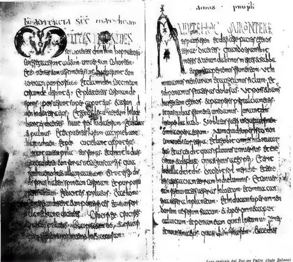 (por carisma del Rev. de Pedro Abate Salmos) LECTIONARY OF LUXEUIL (7th cent.) - Paris, National Library, ma. lat. 9427, ff. 106°, 108.