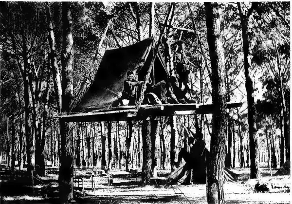 (Int. Festival/1910) COSTRUZIONE D'UNA TENDA pensile nella pineta del Risaro (Roma). Festa di S. Giorgio 1950.