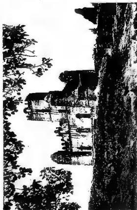 Plate XLIV