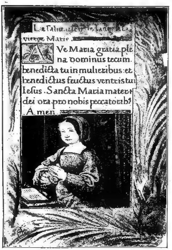 Article illustration