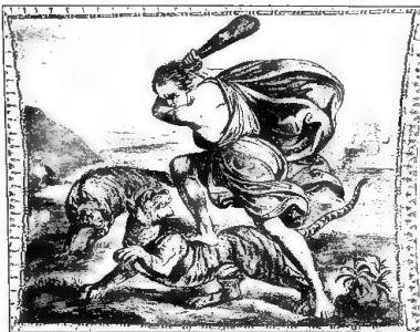 Article illustration