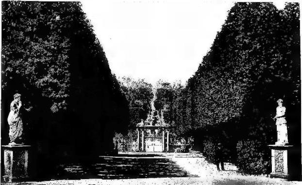 Above: AN AVENUE OF THE BOBOLI GARDEN (late 16th cent.).