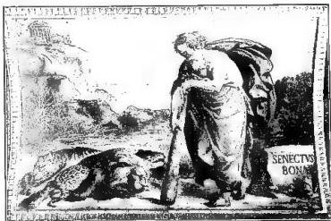 Article illustration