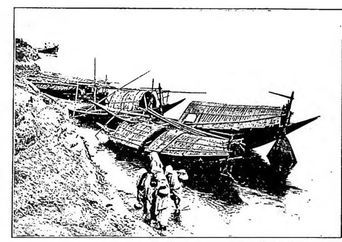 Article illustration
