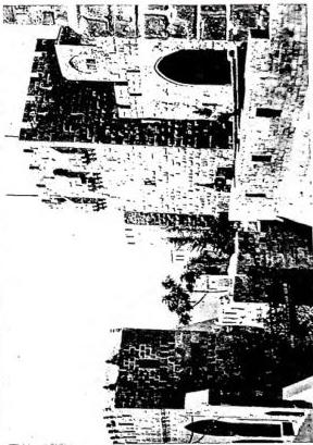 Plate XV